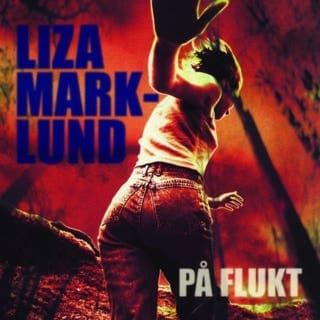 På flukt – Liza Marklund og Maria Eriksson, lydbokens omslag