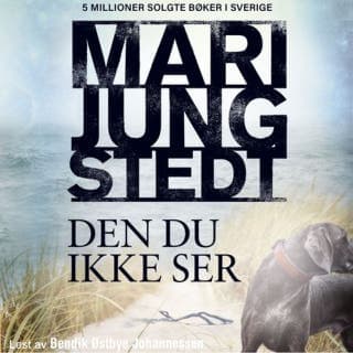 Den du ikke ser – Mari Jungstedt, lydbokens omslag