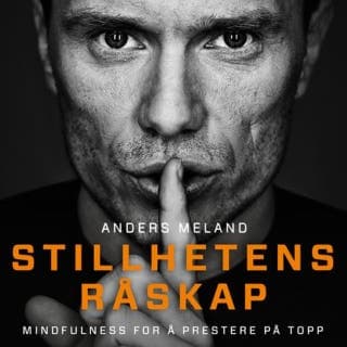 Stillhetens råskap – Anders Meland, lydbokens omslag
