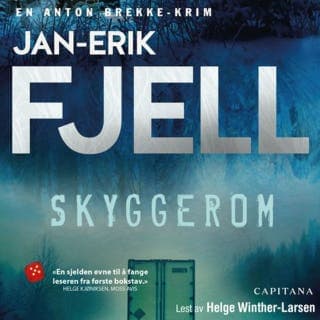 Skyggerom – Jan-Erik Fjell, lydbokens omslag