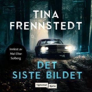 Det siste bildet – Tina Frennstedt, lydbokens omslag