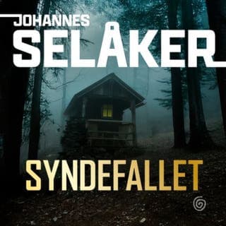 Syndefallet – Johannes Selåker, lydbokens omslag