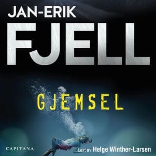 Gjemsel – Jan-Erik Fjell, lydbokens omslag