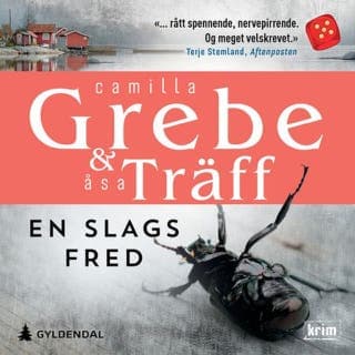 En slags fred – Camilla Grebe og Åsa Träff, lydbokens omslag
