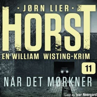 Når det mørkner – Jørn Lier Horst, lydbokens omslag