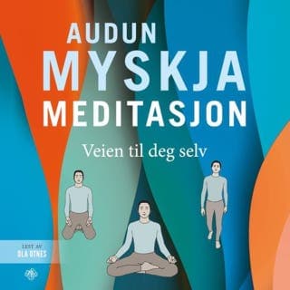 Meditasjon – Audun Myskja, lydbokens omslag