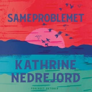 Sameproblemet – Kathrine Nedrejord, lydbokens omslag